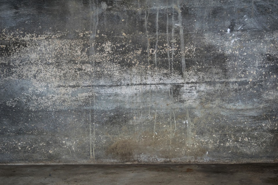basement wall